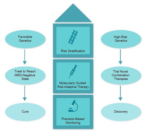 Schematic showing molecular stratification in acute myeloid leukemia