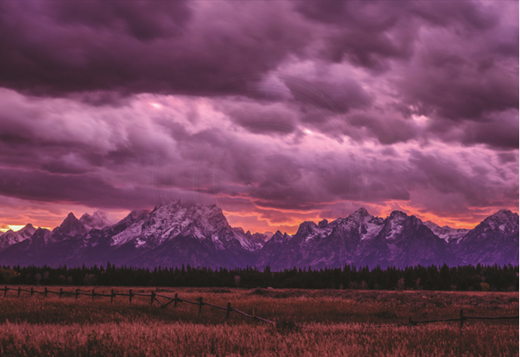 Photo courtesy of Dr. Jason Gotlib.