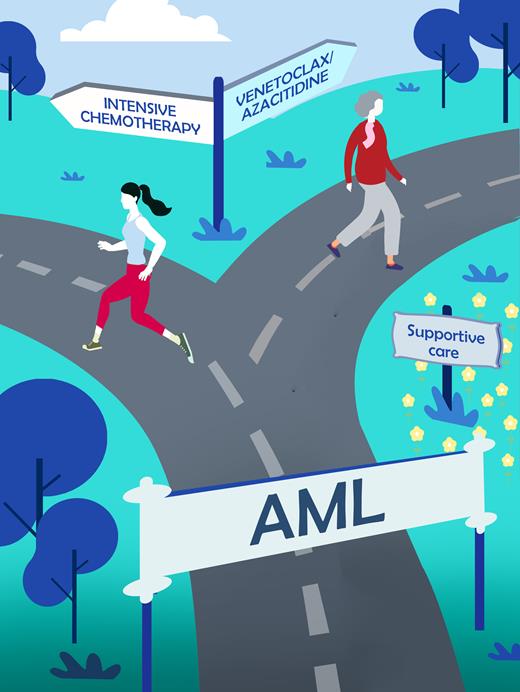 Venetoclax/Azacitidine provides a new standard of care for older patients with AML. Figure illustrated by Madeleine Flynn of QIMR Berghofer.