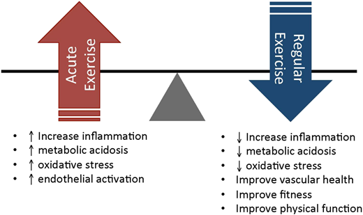 Treatment schema. ESR, erythrocyte sedimentation rate; RBC, red blood cell.