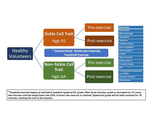The balance of short-term potential risks of acute exercise vs long-term benefits of regular exercise in individuals with SCT and SCA. From Liem RI. Hematology Am Soc Hematol Educ Program. 2018;2018:418-425.