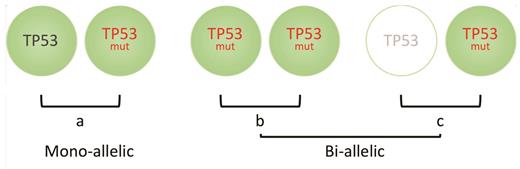 (a) Patients with myelodysplastic syndrome (MDS) who have mono-alleleic mutations in TP53 have similar outcomes to TP53-unmutated MDS. Conversely, bi-allelic loss caused by either (b) multiple mutations of TP53, copy-neutral loss of heterozygosity or (c) mono-allelic mutation of TP53 with deletion of the other TP53 allele, will result in no wildtype TP53 expression, and these groups are associated with inferior clinical outcomes.