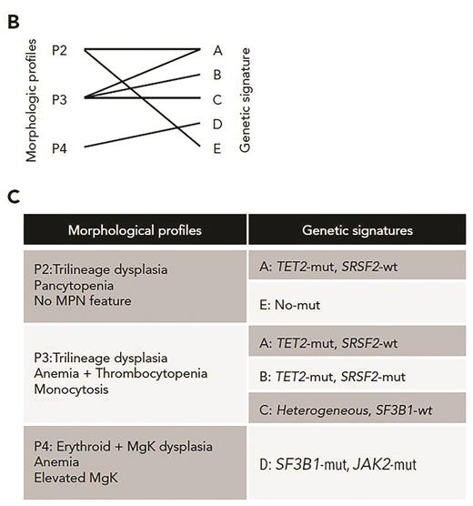 Validated morphologic profiles and genetic signatures in low-risk MDS. (B) Diagram depicting 6 validated morphologic and genetic associations between three of the morphologic profiles (P2, P3, P4) and five genetic signatures. (C) Resultant validated associations between three morphologic profiles and the genetic signatures. Adapted from Nagata Y et al. Blood. 2020;136:2249-2262.