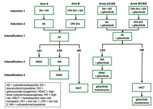 Children's Oncology Group AAML1831 phase III clinical trial experimental design schema (NCT04293562). AE, cytarabine/etoposide; Allo, allogeneic; AR, allelic ratio; DA, daunomycin/cytarabine; DL, dose level; Gilt, gilteritinib; GO, gemtuzumab ozogamicin; HDAC, high-dose cytarabine/asparaginase (Capizzi II regimen); HSCT, hematopoietic stem cell transplantation; Ind, induction; Int, intensification; ITD, internal tandem duplication; MA, mitoxantrone/cytarabine; Maint, maintenance.