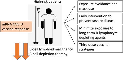 High-risk patients and mRNA COVID vaccine response. Patients with B-cell malignancies and who have had chronic B-cell–depleting therapies have reduced response to mRNA COVID-19 vaccines. Strategies to protect these patients include rigorous public exposure avoidance, early intervention to try and reduce disease severity, minimizing exposure to chronic B-cell depletion, and third dose vaccine strategies.
