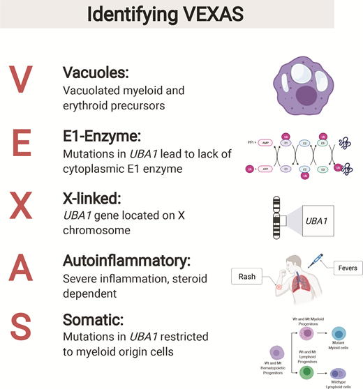 Figure created by and used with permission from Daniela Cardona, National Institutes of Health.