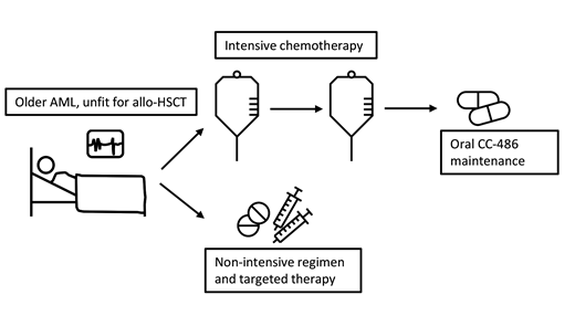 Clinicians have the option of intensive chemotherapy followed by maintenance CC-486 or novel low-intensity regimens in older patients with acute myeloid leukemia (AML) who are not fit for allogeneic hematopoietic stem cell transplantation (allo-HSCT).