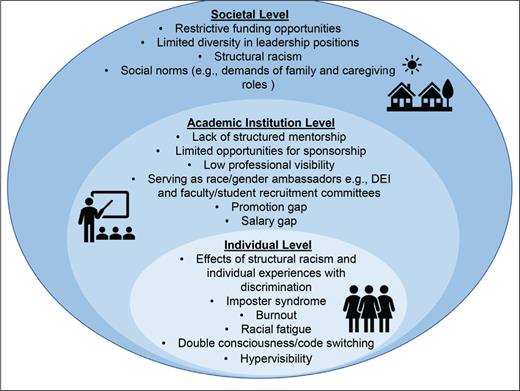 Select Multilevel Challenges Faced by Black Faculty in Academia