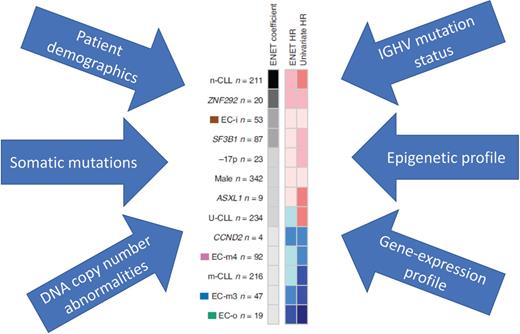 Multiple parameters in this dataset of 1,095 CLL patients were used to develop a multivariable prognostic model to predict event-free survival in the treatment-naive patients (n=506). Elastic net (ENET) coefficients (darker color indicating higher coefficients) identified variables to be included in the model, with hazard ratios (HR) ranging from <0.25 (dark blue) to 3.00-4.00 (dark pink). Abbreviations: n-CLL: naive-like CLL based on methylation profile, m-CLL: memory-like CLL based on methylation profile, EC: expression cluster (adapted from Figure 4e, Knisbacher BA et al. Nature Genetics 2022;54: 1664).