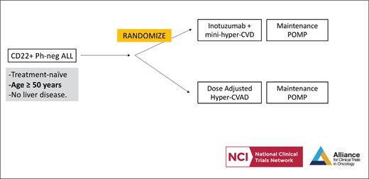 Clinical trial schema, A042001, for newly diagnosed older adults with CD22+ Ph-negative B-cell ALL. POMP, (6-mercaptopurine, vincristine, methotrexate, prednisone).