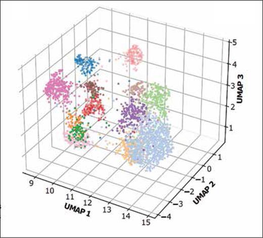 Color-coded mutation profiles for each of the 14 genomic clusters, determined using a uniform manifold approximation of projection (UMAP) technique, which reduces the 16-dimensional binary mutation profiles into a three-dimensional (3D) diagram. Each cluster occupies a distinct space on the 3D diagram, indicating a unique mutation signature (adapted from Figure 1B in Kewan, T et al. Nat Comm. 2023;14:3136).
