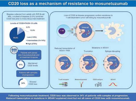 Visual Abstract. Incidence of CD20 loss before and during mosunetuzumab therapy and at progression. CD20-specific mechanisms of treatment resistance are also depicted (reprinted with permission from Schuster SJ, et al. Blood. Published online December 4, 2023).