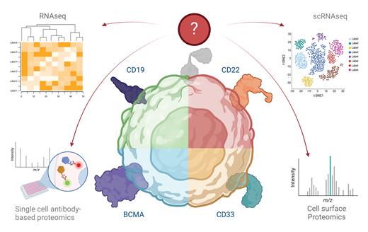 Target discovery approaches