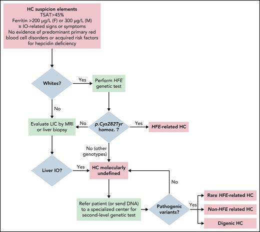 Algorithm for the diagnosis of hemochromatosis