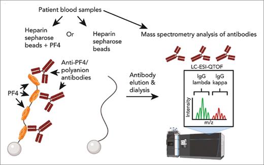 Workflow for mass spectrometric analysis of monoclonal anti-platelet factor 4 antibodies7