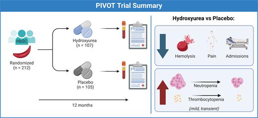 Abbreviation: HbSC, hemoglobin SC.