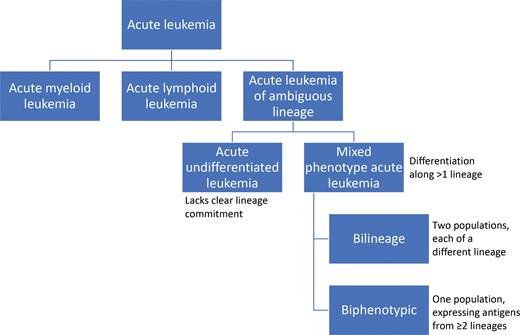 Simplified schematic of lineage nomenclature in acute leukemia