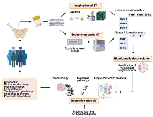 Schematic of a spatial transcriptomics workflow applied to bone marrow trephine biopsies from a hematologic patient cohort