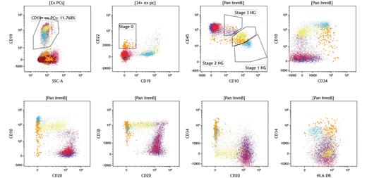 Hematogone maturation from stage 0 to stage 3 in a normal bone marrow sample