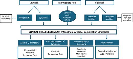 Management algorithm for myelofibrosis