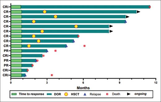 Swimmer plot of duration of response
