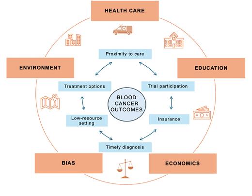 Potential mechanisms through which access to care may mediate the effects of social determinants of health on blood cancer outcomes