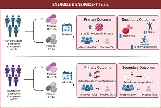 Overview of mitapivat trials in non-transfusion-dependent and transfusion-dependent thalassemia
