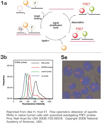 . / The Hematologist