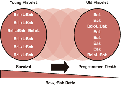 . / The Hematologist