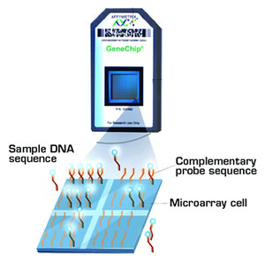 . / The Hematologist