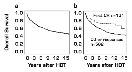 . / The Hematologist