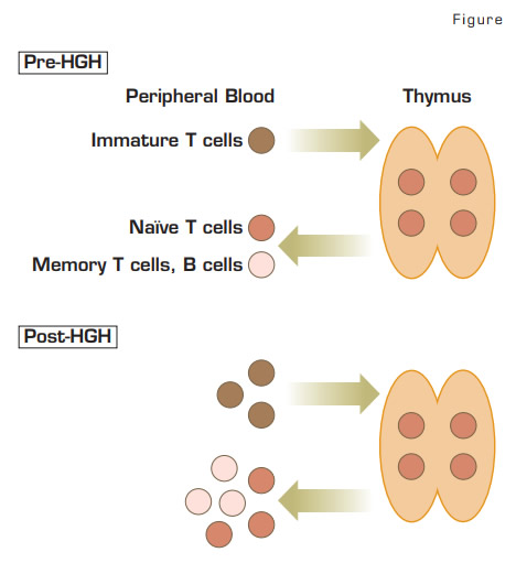 . / The Hematologist