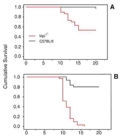Survival Following P. Chabaudi Infection in Wild-Type and Mpl-/- Mice. From McMorran BJ, Marshall VM, de Graaf C, et al. Platelets kill intraerythrocytic malarial parasites and mediate survival to infection. Science. 2009;323: 797-800. Reprinted with permission from AAAS.