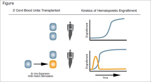 . / The Hematologist