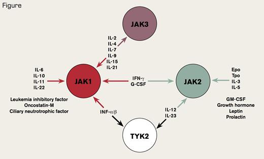 . / The Hematologist