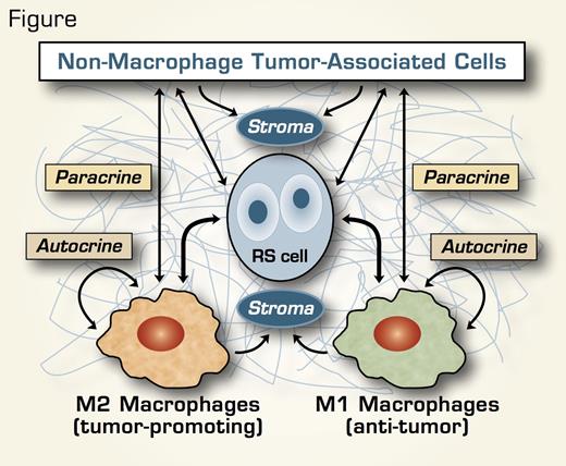 . / The Hematologist