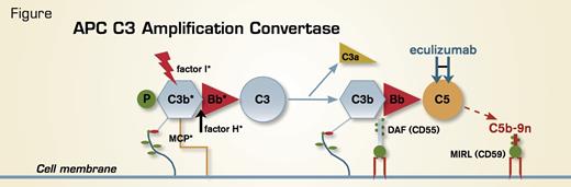 The APC. Unlike the classical pathway of complement that requires specific antibody-antigen binding to initiate activation, the APC is in a state of continuous activation (termed “tick-over”). Covalently bound C3b serves as the nidus for formation of the amplification C3 convertase of the APC, consisting of C3b, activated factor B (Bb) (the enzymatic subunit of the complex), and factor P (properdin, a stabilizing protein). The C3 convertase amplifies the APC by cleaving many molecules of C3 to C3b (with release into the fluid phase of the C3a anaphylatoxin). These activated C3b molecules form additional C3 convertases and also C5 convertases (C3bBbC3bP) that lead eventually to generation of the cytolytic membrane attack complex (C5b-9n). Because the APC is primed for attack continuously, elaborate mechanisms for self-recognition and for protection of the host against APC-mediated injury have evolved. Both fluid-phase (factor H and factor I) and membranebound proteins (MCP, DAF, and MIRL) are involved in this process. APC regulatory proteins that have been shown to be mutant in patients with aHUS are indicated with an asterisk. The GPI-AP regulatory proteins, DAF (CD55) and MIRL (CD59), are deficient in PNH, accounting for the complement-mediated hemolysis characteristic of the disease.