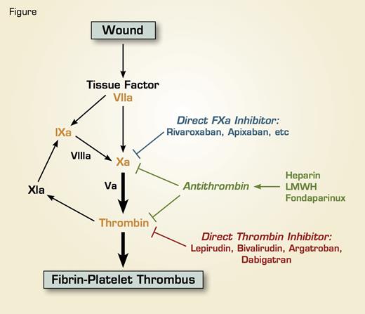 At the site of a vascular wound, tissue factor is exposed, which acts as a physiological cofactor for Factor VIIa, and the tissue factor/FVIIa complex activates the clotting cascade. Tissue factor/FVIIa activates factor X either directly or indirectly through the activation of factor IX, and the resultant factor Xa activates prothrombin to thrombin. Thrombin converts fibrinogen to fibrin and also activates platelets, resulting in the formation of a fibrin-platelet thrombus. Thrombin can also activate factor XI, and factor XIa in turn activates FIX, thus serving as a tertiary pathway of thrombin generation. Warfarin is a vitamin K antagonist and targets prothrombin, factor VII, factor IX, and factor X (Red), with factor X and prothrombin being the main targets. Heparin, lowmolecular-weight heparin (LMWH), and the synthetic pentasaccharide fondaparinux serve as anticoagulants by activating antithrombin, a plasma serine protease inhibitor that functions as the major physiological regulator of the clotting cascade; antithrombin then inhibits factor Xa and thrombin. Both the direct thrombin inhibitors and the direct factor Xa inhibitors inhibit their respective targets directly without the need of antithrombin.