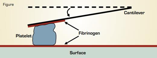Measurement of Single Platelet Contractile Forces by Atomic Force Microscopy. A fibrinogen-coated cantilever is pressed against an activated platelet just as it lands on a fibrinogen-coated surface. Contraction of the platelet pulls the cantilever down a measureable distance toward the surface. The stiffness of the cantilever, i.e., the force required to move it a given distance, is known. Thus, the force exerted by the platelet can be calculated.