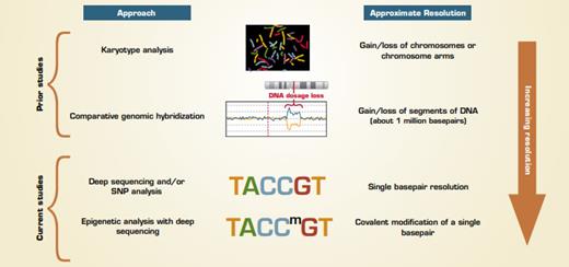 Approaches for Comparing Embryonic Stem Cells to Inducible Pluripotent Stem Cells