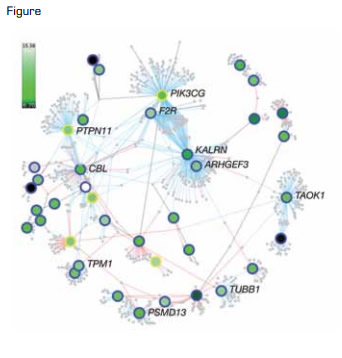 Protein-Protein Interaction Network of Platelet Loci as Revealed by High-Powered Genome-Wide Association Studies. Genes are represented by round symbols. Transcript levels in megakaryocytes are shown on a continuous scale from low (dark green) to high (white).Reprinted by permission from Macmillan Publishers Ltd: Nature, 480:201, 2011.
