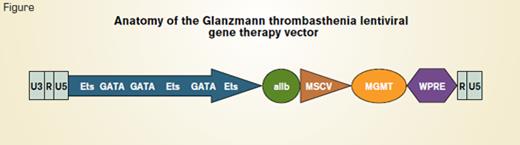 Anatomy of the Glanzmann Thrombasthenia Lentiviral Gene Therapy Vector