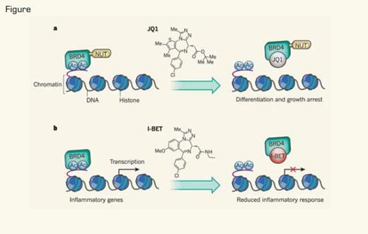 . / a) Filippakopoulos et al.4 showed that JQ1, a small-molecule competitive inhibitor that blocks the interaction of bromodomains of BET proteins with acetylated lysines (Ac), can inhibit the proliferation of tumor cells expressing the BRD4–NUT oncoprotein. b) Nicodeme et al.5 showed that pretreatment of cells with another small-molecule competitive inhibitor, I-BET, which interferes with the interaction between the bromodomain of the BET protein BRD4 and Ac, can mute the transcription of genes that are induced during inflammatory responses.Reprinted by permission from Macmillan Publishers Ltd: Nature, 468:1051, 2010.