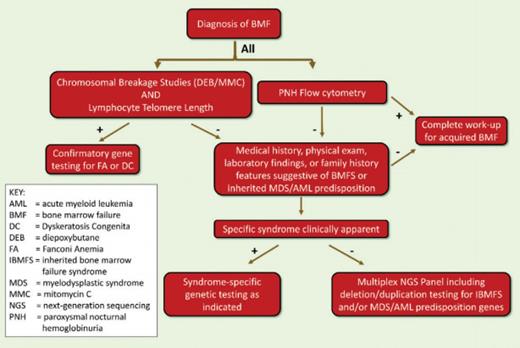 Figure 2. Evaluation of Bone Marrow Failure in Children and Young Adults
