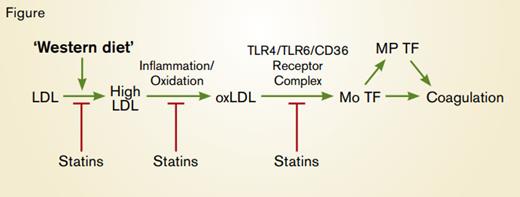 "Pathway Linking Hypercholesterolemia to Activation of Coagulation. A western diet increases LDL levels some of which is converted to oxidized LDL