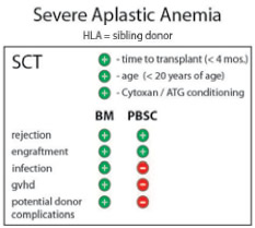 Predictors of Outcome After Matched Sibling Transplant for Patients With Severe Aplastic Anemia.